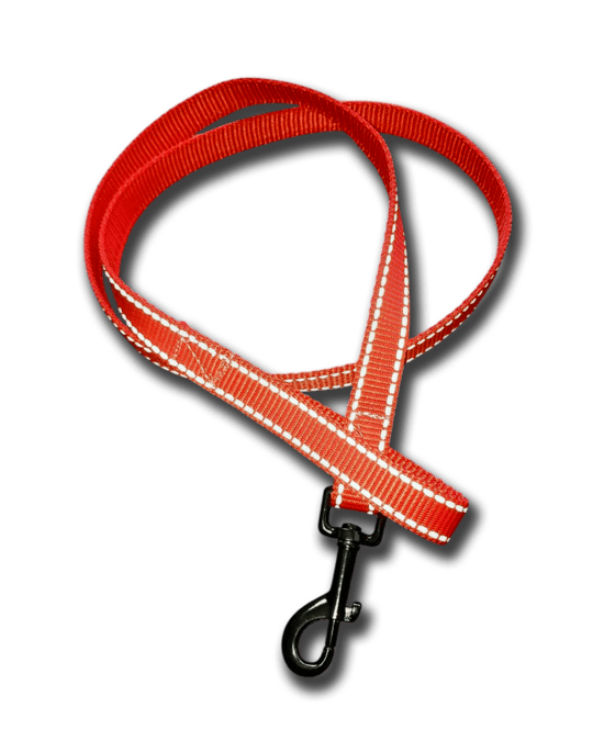 Guinzaglio Reflex 1.2m Plus – Con maniglia