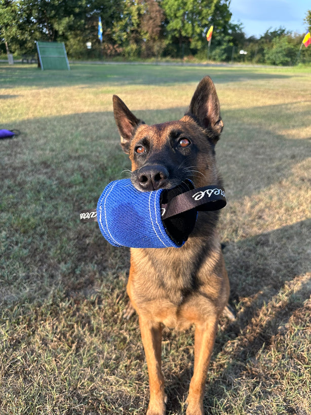 Bite Roll