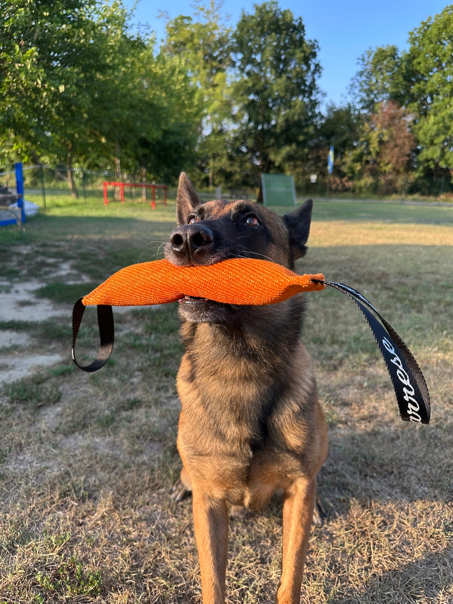 Tug 2.6