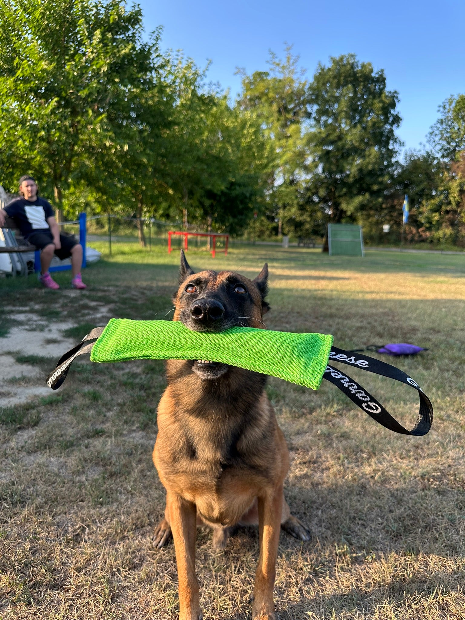Tug Bibi