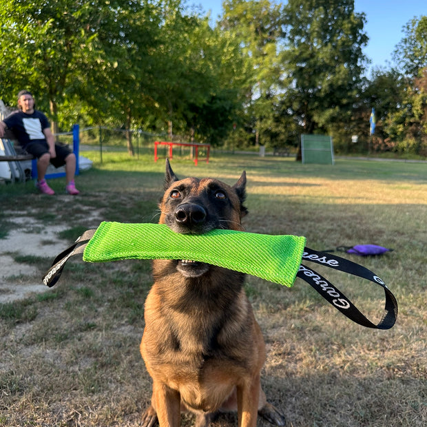 Tug Bibi