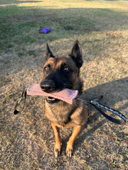 Tug Snack