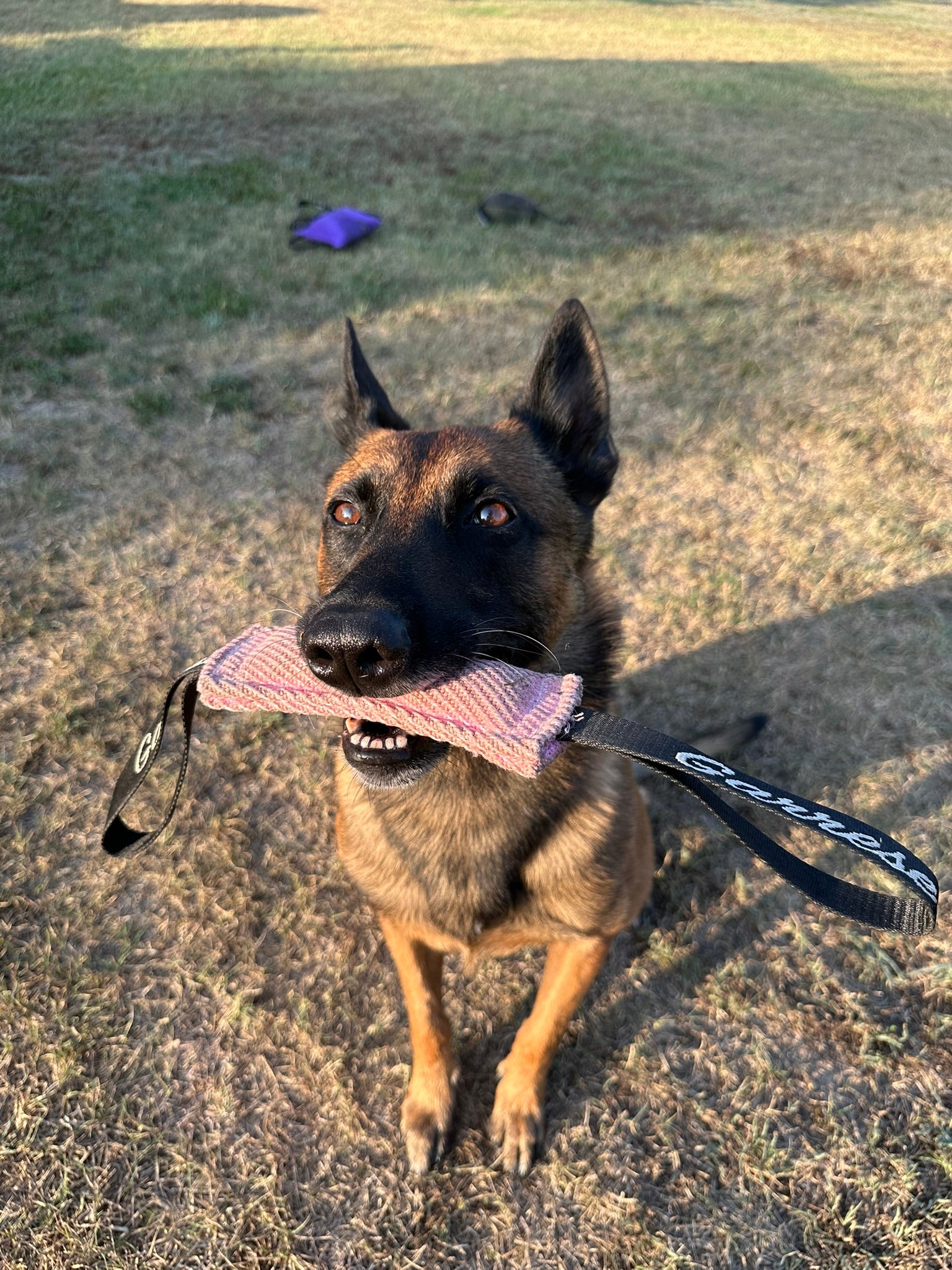 Tug Snack