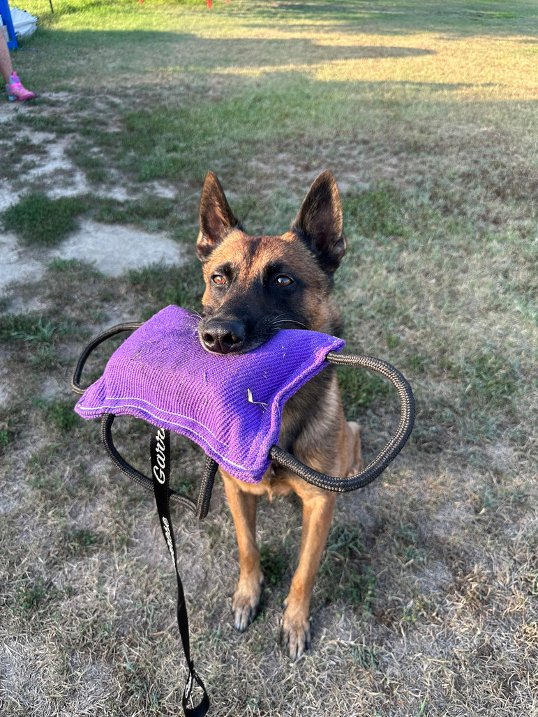 Bite Pillow