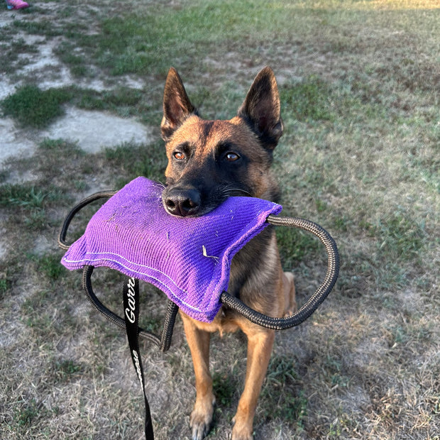 Bite Pillow