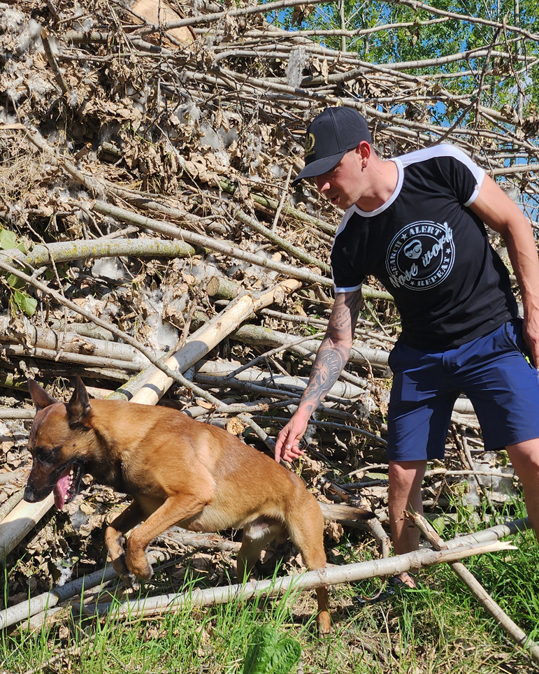 T-shirt uomo Nosework - Search, Alert, Repeat