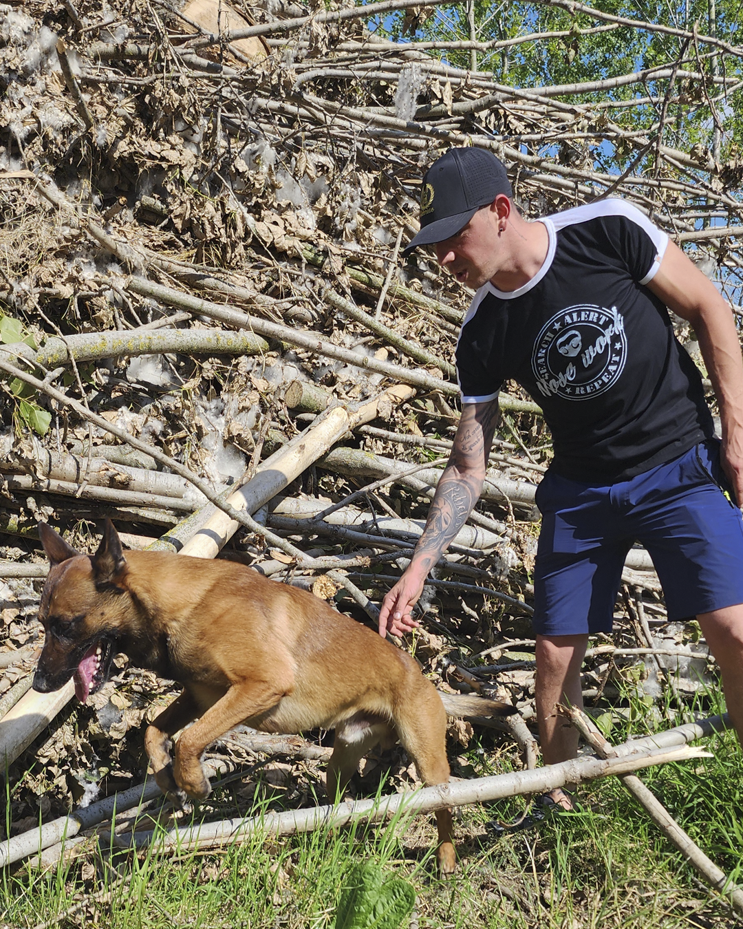 T-shirt uomo Nosework - Search, Alert, Repeat