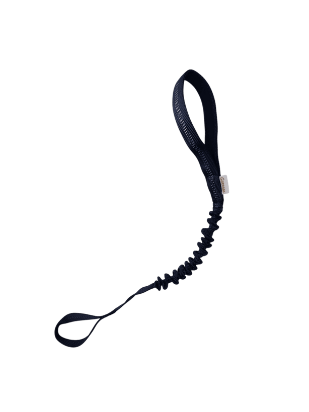Training Strap