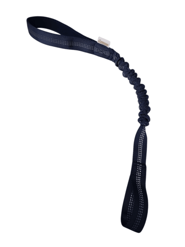 Training Strap